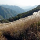 제27회 포천 산정호수 명성산 억새꽃 축제 이미지