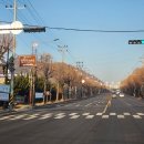 옥자네애견카페 유치원 호텔 미용 이미지