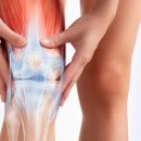 보문효사랑요양병원 이미지