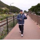 욜로(YOLO) 이미지