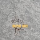 윤선생클린 이미지