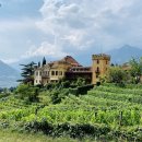 서부로(17호선) | 송도국제와인스쿨 제5기 -&#39;와인의 왕, 보르도 와인의 세계&#39;2편