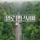 이상순농장 이미지