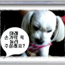참 이미지