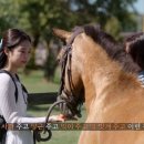 가브리엘 이미지