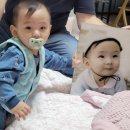 강남 삼성동 아기사진 돌촬영 전문 폴스베이비 후기