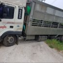 수원-0992 네이버블로그