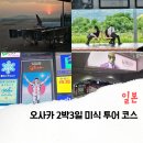 오사카 2박 3일 자유여행 코스 뚜벅이의 핫플 미식 투어 후기