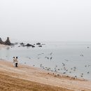 선녀바위-쉼터 이미지