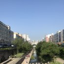 청계천카랜드 네이버블로그