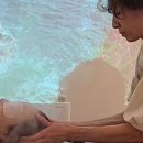 살롱의정석 네이버블로그