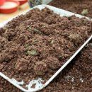 중앙동259 이미지