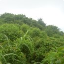 백운마을 이미지