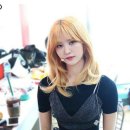 정화헤어 Daum카페