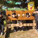 시립별숲어린이집 이미지