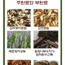 엘라이프 이미지