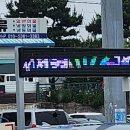 유신호 이미지