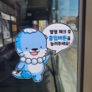 데이지(Dayzi) 이미지