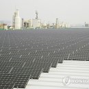 스타태양광발전소 이미지