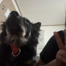 기영약국 이미지