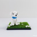 기억할개 이미지