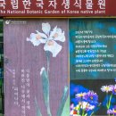 홍천식물원