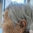 처음보다 더 이미지