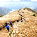 KT travel 이미지