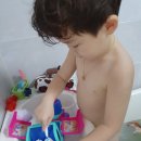 호야펫살롱 | 크레욜라 펫살롱 해피 샤워트럭 목욕 시간이 즐거워요