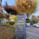 샛별반점