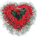 고운머리하는날 - 함안군 함마대로 819 | 고운머리하는날