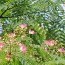 비소(부강)-호-14 | 말하면 잡류(雜流)라 하고 : 주의식(朱義植 1600년경 ?~?)