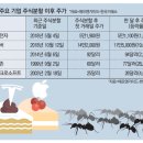 스피드메이트 구성신도시 | 전월세 거래 `최저`/ 테슬라 12.6% 애플 3.5% 상승/ 3기신도시 밑그림 완성/`로또 청약` 열기 by 올뉴꼼지