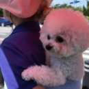 병준농장 이미지