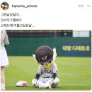 [KBO] 그런 날 있잖아 근황.jpg 이미지