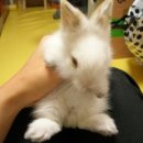상우(아) 이미지