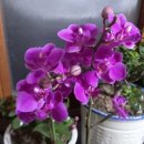 희재농장 이미지