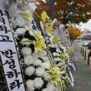 성남시청앞 인도 이미지