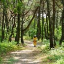 ㈜사랑길 제전장어 | [6월의추천길] 옹녀와 강쇠의 사랑 이야기를 들어 볼까? 강동사랑길 3코스 연인의 사랑길
