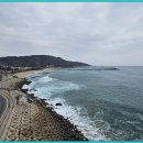 등기산 스카이워크 Daum카페