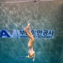 (주)부산 마리나 | 부산프리다이빙 66다이브 북항마리나다이빙풀 AIDA3 강습 후기