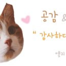 뚜레쥬르카페도농점