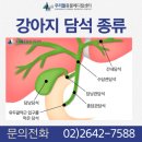 우리동물메디컬센터 | 강아지 담석 수술 24시 우리들동물메디컬센터 후기