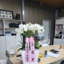 서광상사 이미지