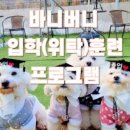 바니버니 이미지