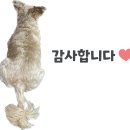 포항 대잠동 수제 치킨 맛집 “ 엄마산딸기치킨 본점 ” 레드벨벳도 다녀갔던 곳 내돈내산 솔직후기