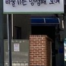 비둘기는멍청해보여 이미지