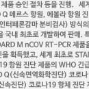 에스디티비