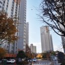 상록데시앙부동산공인중개사사무소 이미지