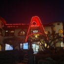 꽃다지 맞은편 이미지